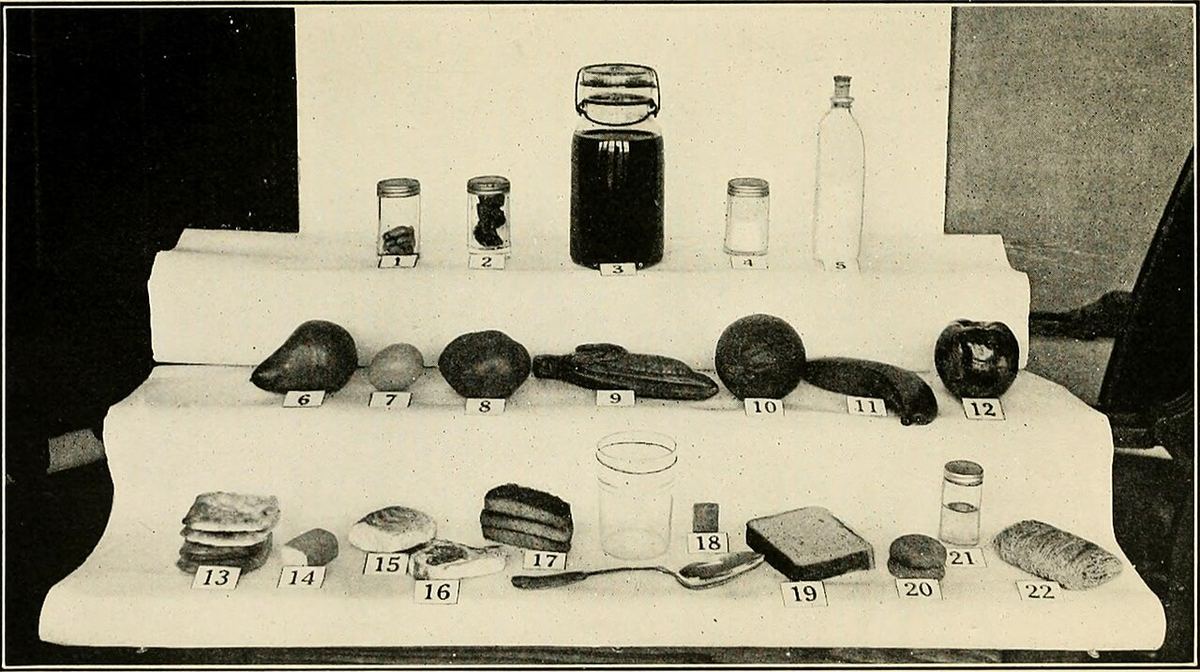 Historical child growth chart illustration showing growth measurement references